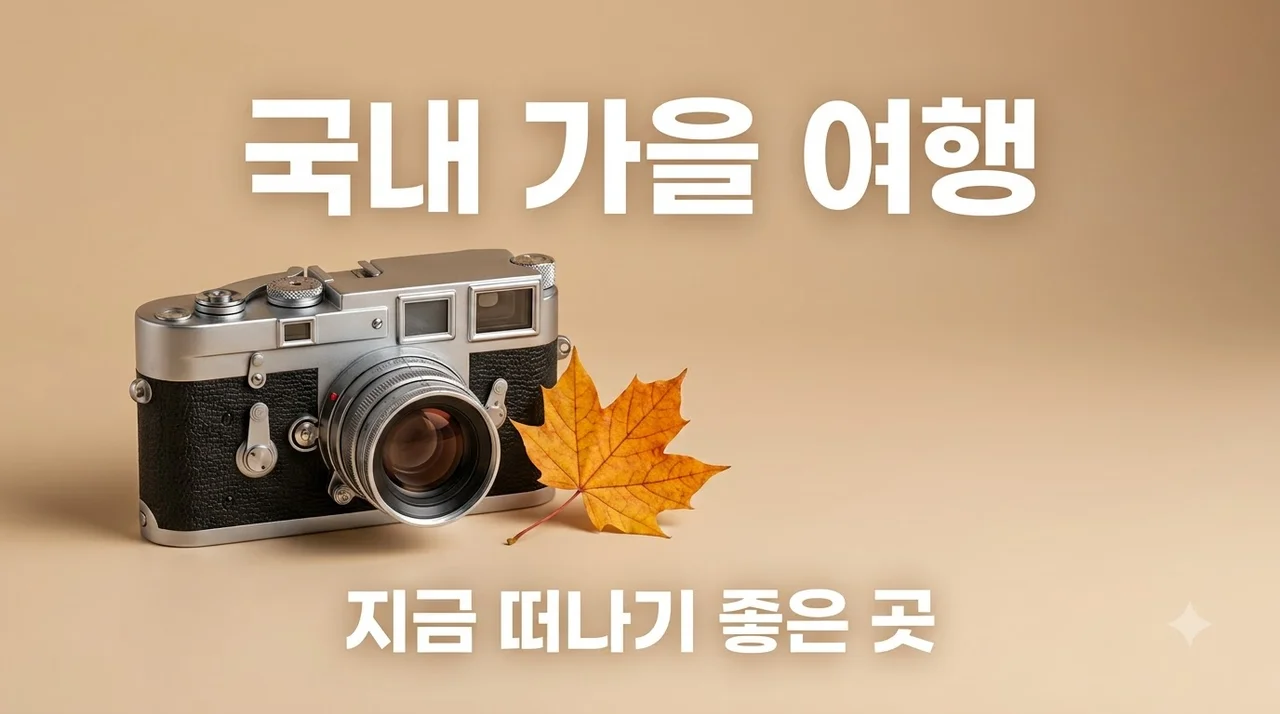지금여행하기좋은 국내여행 BEST 3 추천 | 10월 가을 정취 가득한 곳